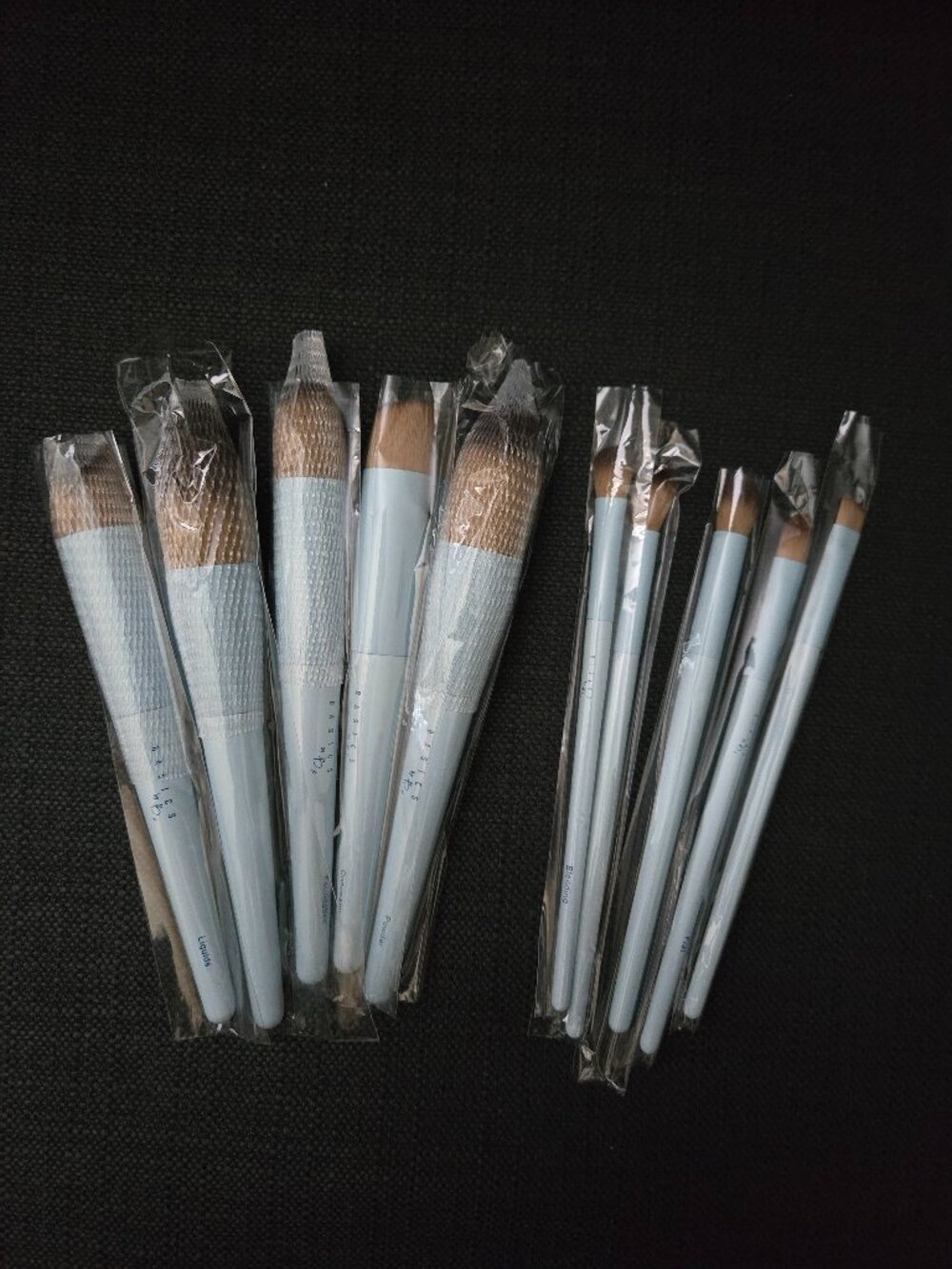 Set of 10 Makeup Brushes